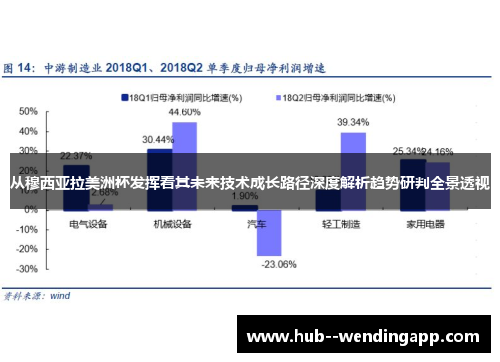从穆西亚拉美洲杯发挥看其未来技术成长路径深度解析趋势研判全景透视 从穆西亚拉美洲杯发挥看其未来技术成长路径深度解析趋势研判全景透视
