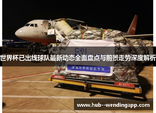 世界杯已出线球队最新动态全面盘点与前景走势深度解析